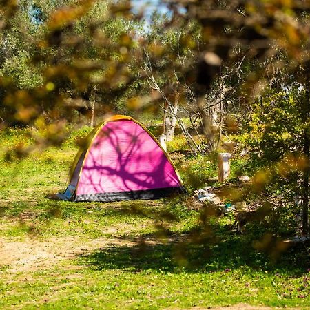 Camping Panorama Hotel Ouazzane Exterior photo